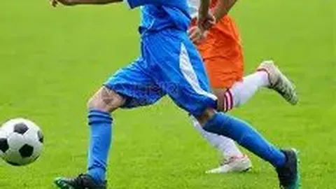 kaiyun·开云（中国）