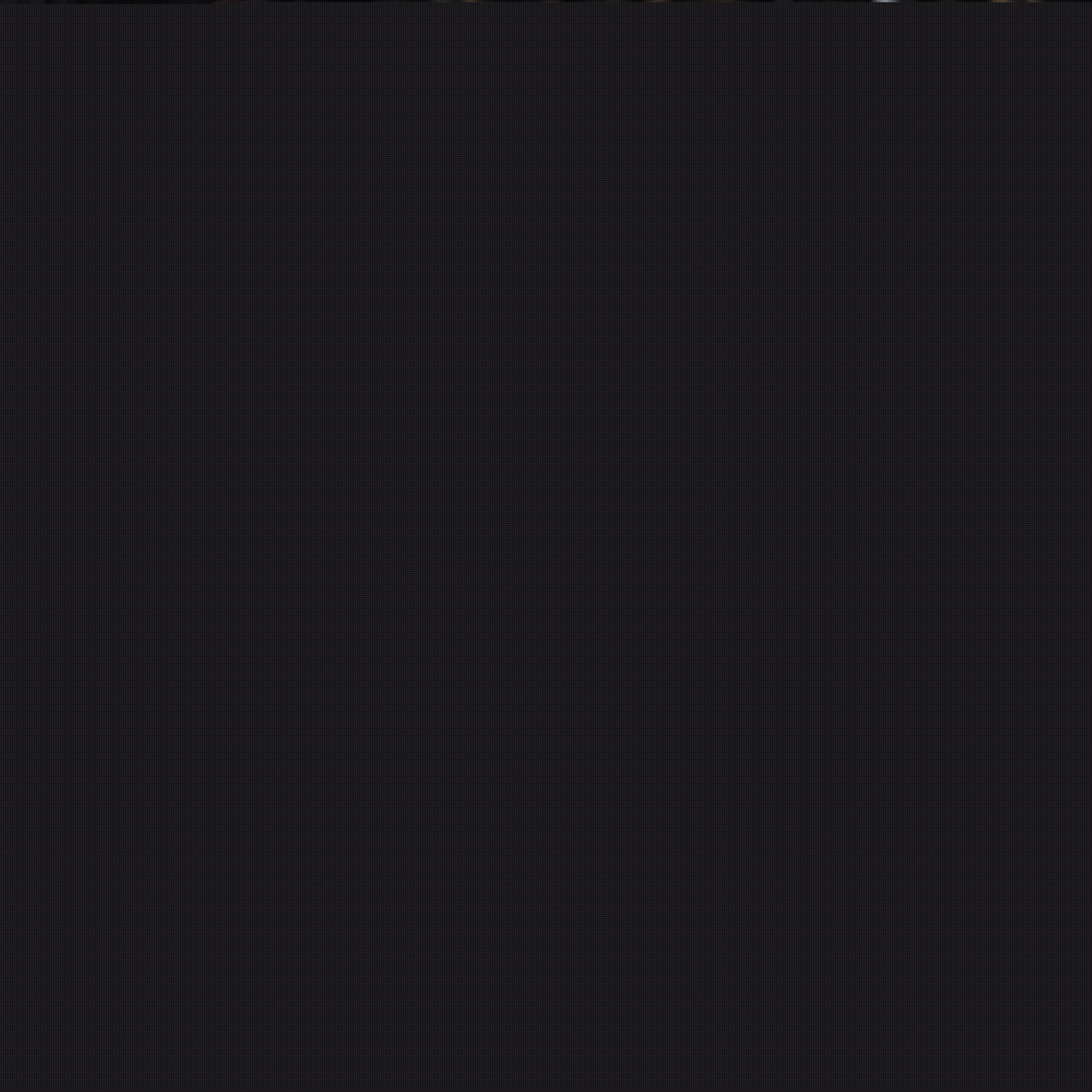 球运动员面